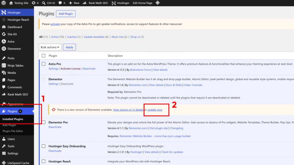 WordPress Installed Plugins page showing the Update Now link for an available plugin update